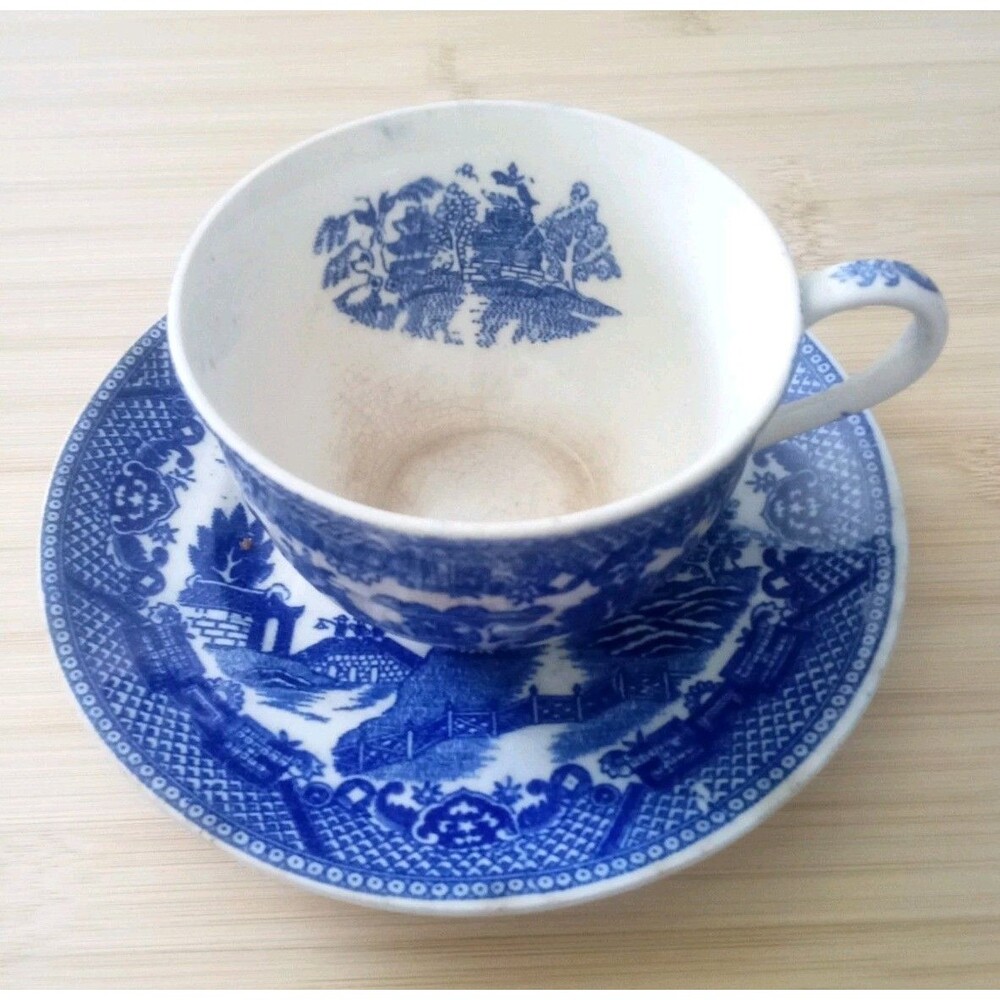 Blue Willow Cup and Saucer Blue and White Japan Read